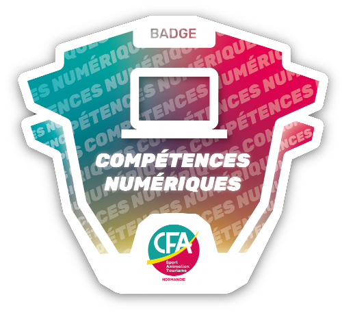 Compétences numériques