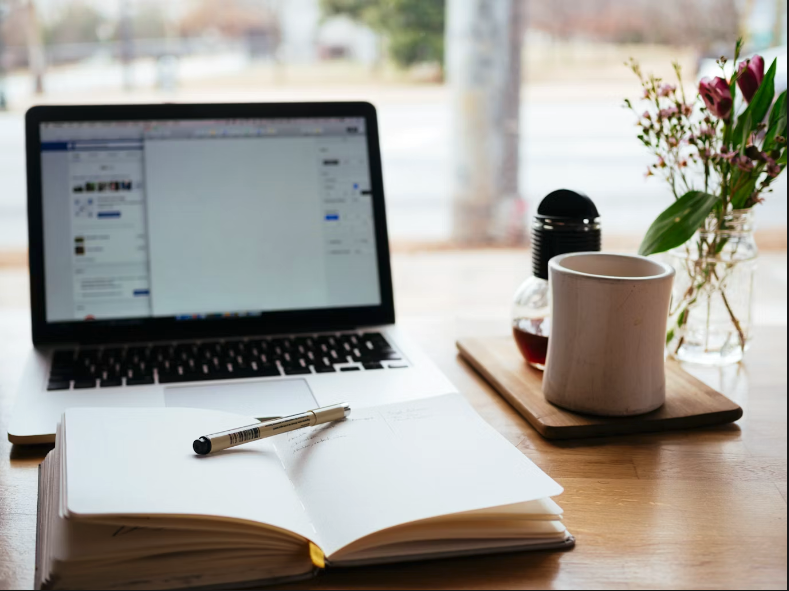 Emploi et poursuite d'études