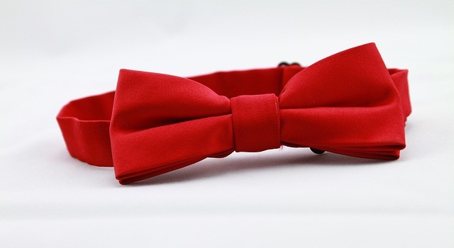 noeud papillon